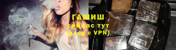 индика Весьегонск