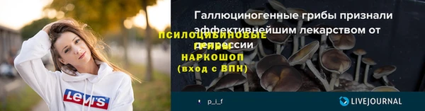 ECSTASY Михайловск